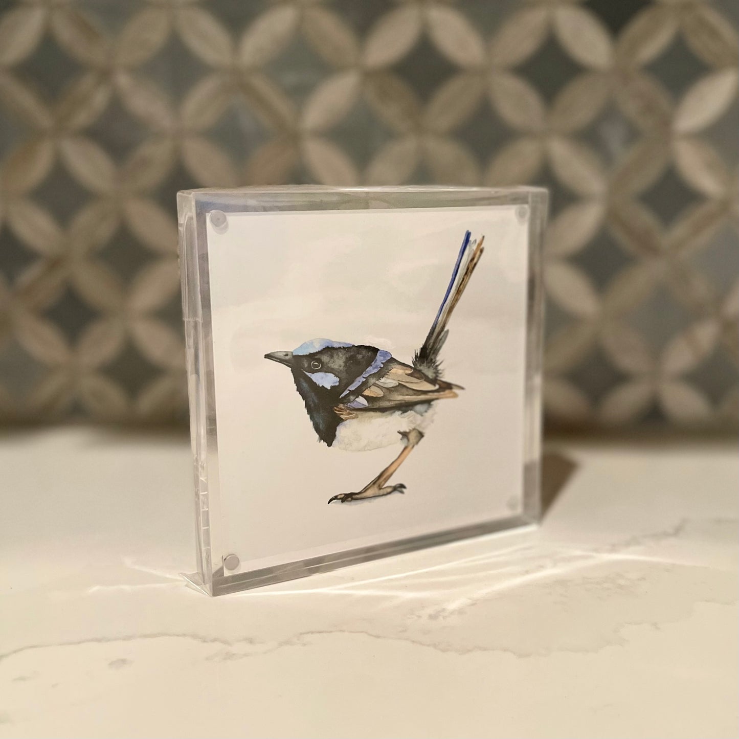 Fairywren Watercolor Art in Acrylic Block Frame – 5x5 Fine Art Print