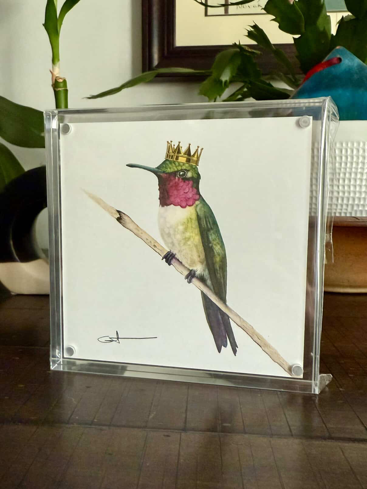ROYAL RUBY - Hummingbird Watercolor Art in Acrylic Desk Frame – Ruby-Throated Hummingbird Art Print
