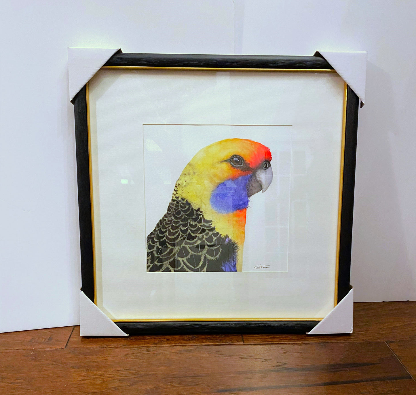 RAFAEL | Crimson Rosella Portrait | Exotic Bird Original Watercolor Painting