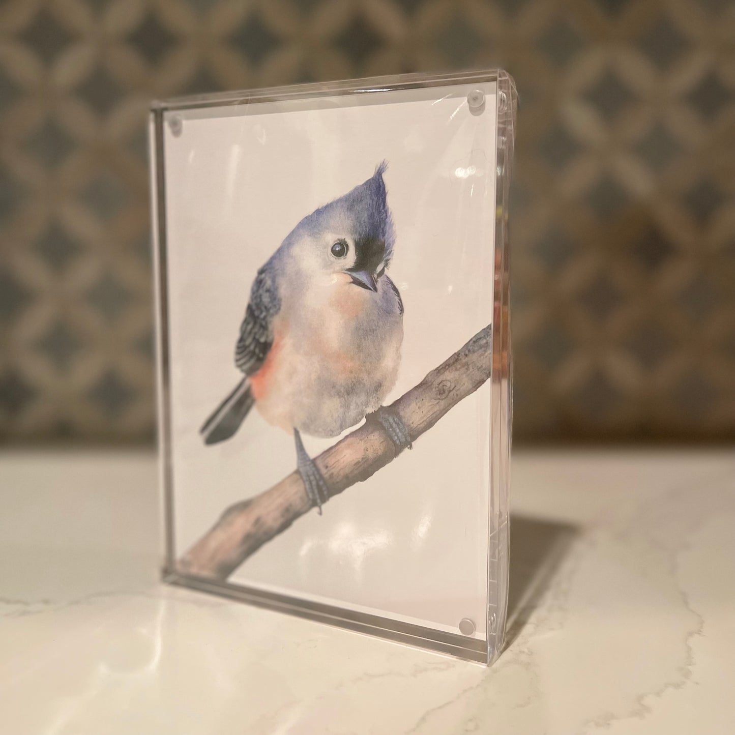 Tufted Titmouse Watercolor Art in Acrylic Block Frame – 5x7 Fine Art Print by Award-Winning Artist