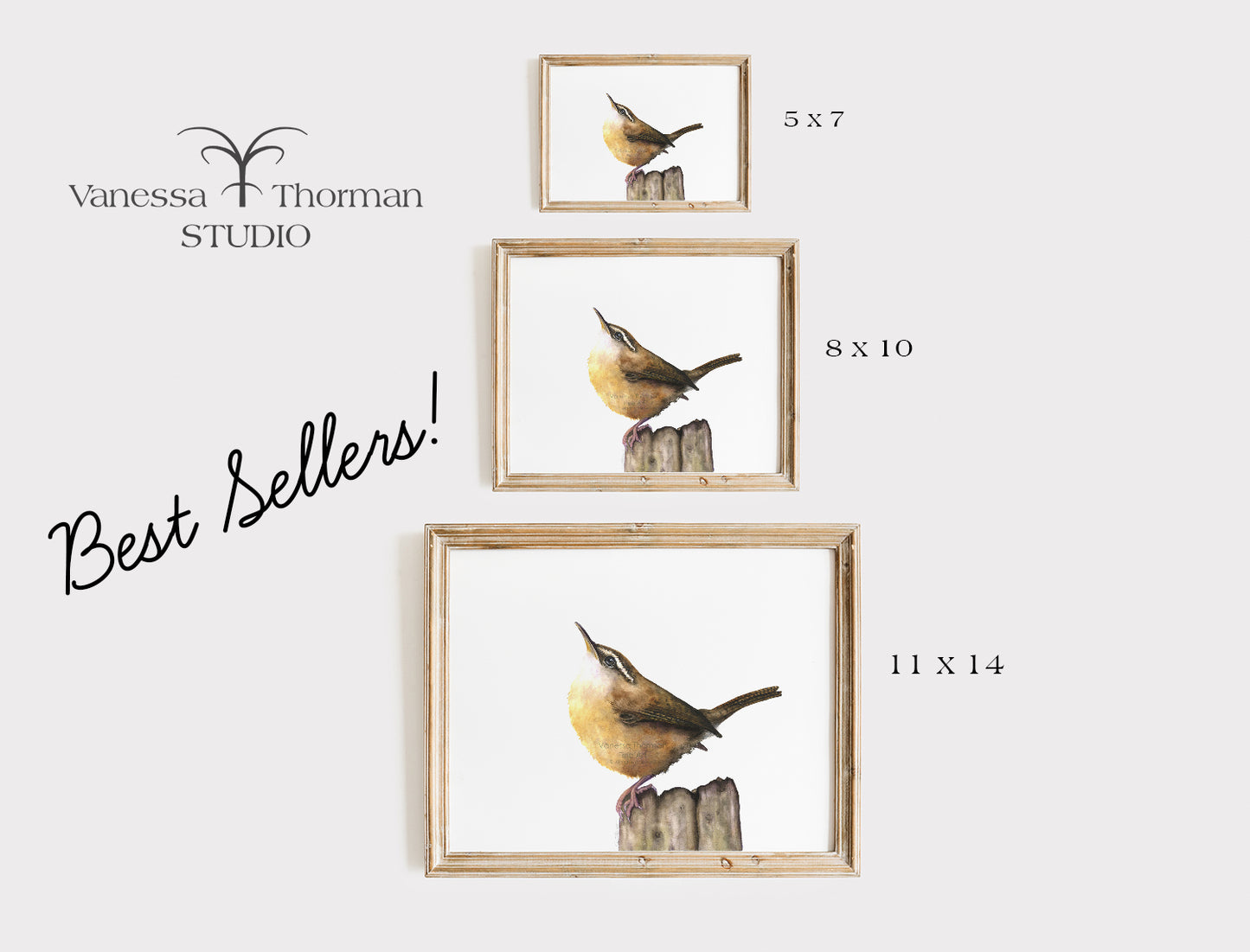 Carolina Wren Watercolor Art Print – Energetic Songbird Illustration – Fine Art Giclée Print