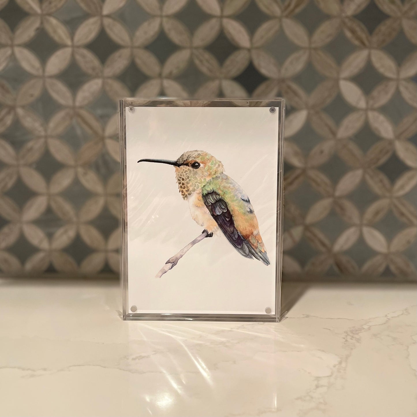 Rufous Hummingbird Watercolor Art in Acrylic Block Frame – 5x5 Fine Art Print