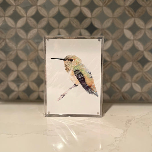 Rufous Hummingbird Watercolor Art in Acrylic Block Frame – 5x5 Fine Art Print