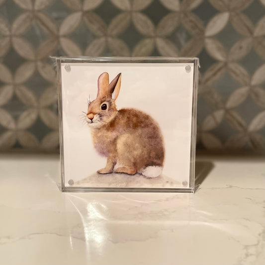 Adorable Bunny Watercolor Art in Acrylic Block Frame – 5x5 Fine Art Print
