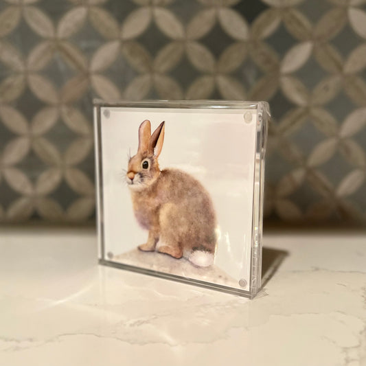 Adorable Bunny Watercolor Art in Acrylic Block Frame – 5x5 Fine Art Print