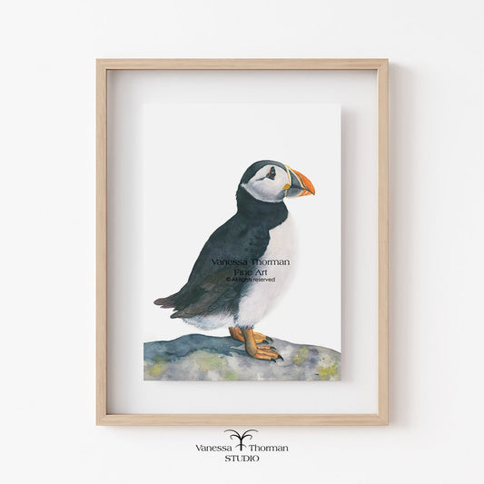 Atlantic-Puffin-watercolor-art-print-1