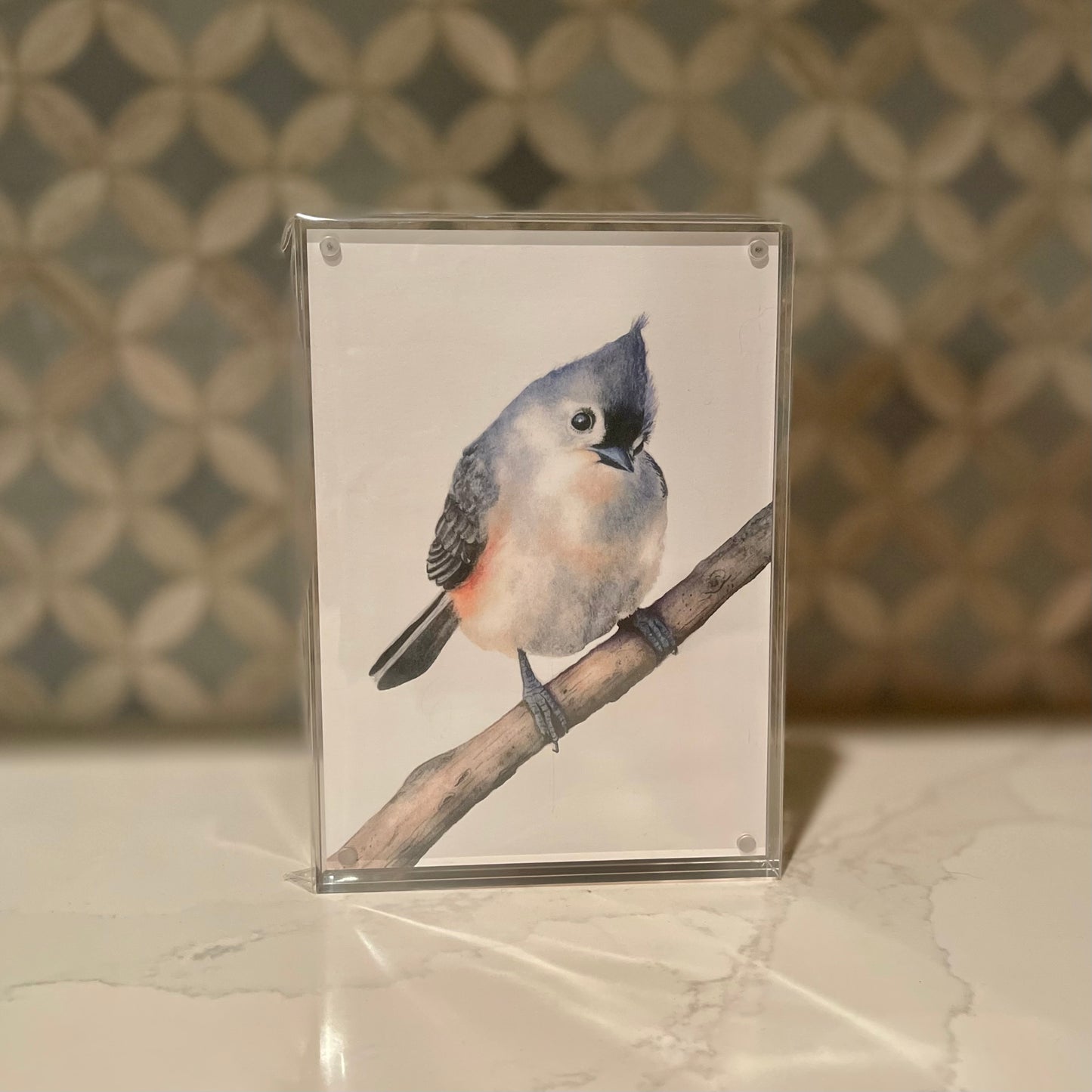 Tufted Titmouse Watercolor Art in Acrylic Block Frame – 5x7 Fine Art Print by Award-Winning Artist