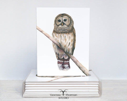 Owl Notecards| Barred Owl | Set of 8 Blank Greeting Cards