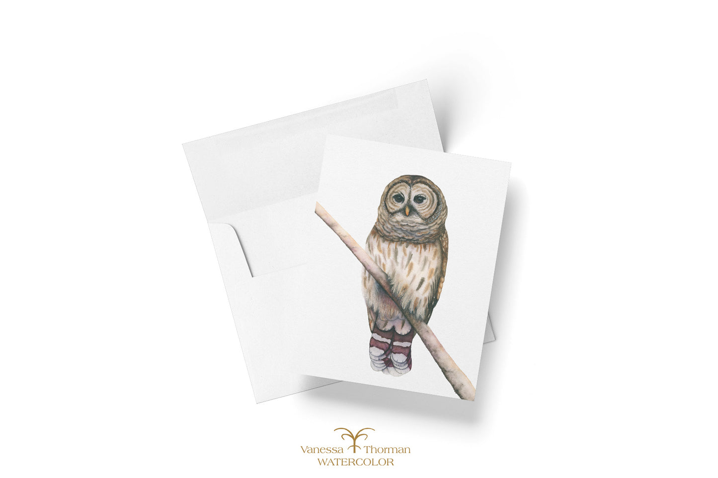 Owl Notecards| Barred Owl | Set of 8 Blank Greeting Cards
