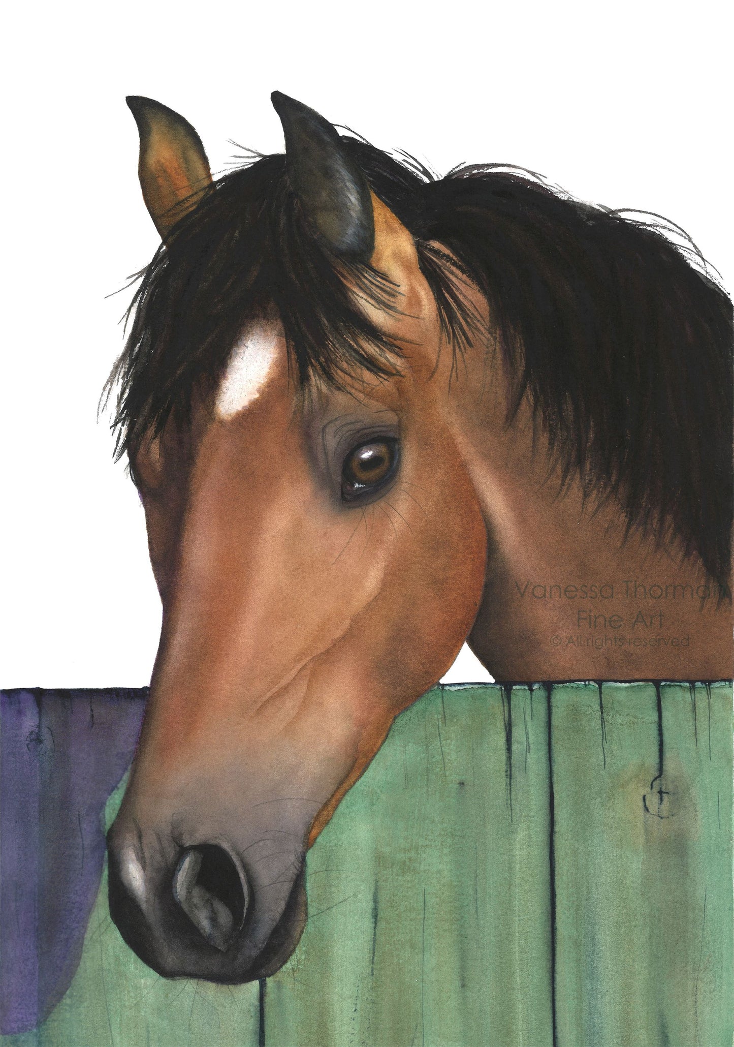 STAR (Bay Mare) | Horse Portrait Original Watercolor Painting