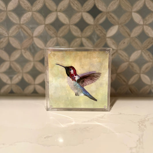 Bee Hummingbird Acrylic Block Art – 5x5 Watercolor Print in Magnetic Frame – Signed & Titled Fine Art