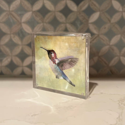 Bee Hummingbird Acrylic Block Art – 5x5 Watercolor Print in Magnetic Frame – Signed & Titled Fine Art