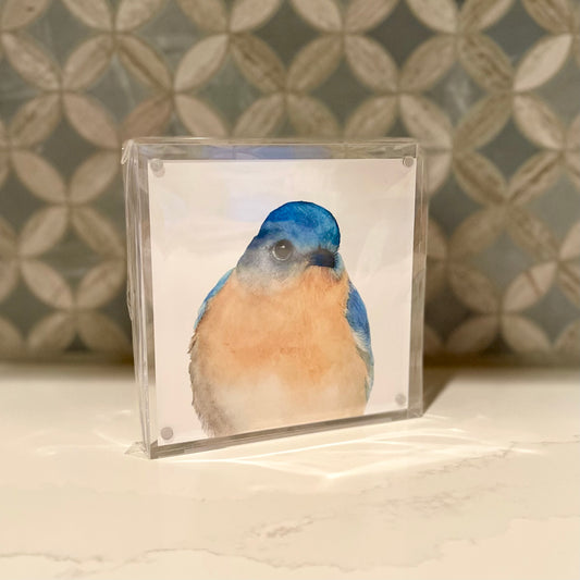 Bernard-the-Bluebird-Acrylic-Block-Art-1