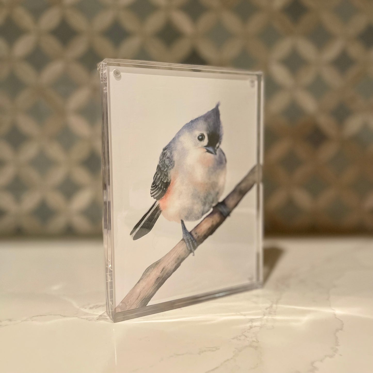 Tufted Titmouse Watercolor Art in Acrylic Block Frame – 5x7 Fine Art Print by Award-Winning Artist
