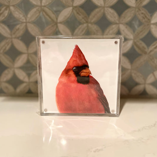 Cardinal-Watercolor-Art-in-Acrylic-Block-Frame-1