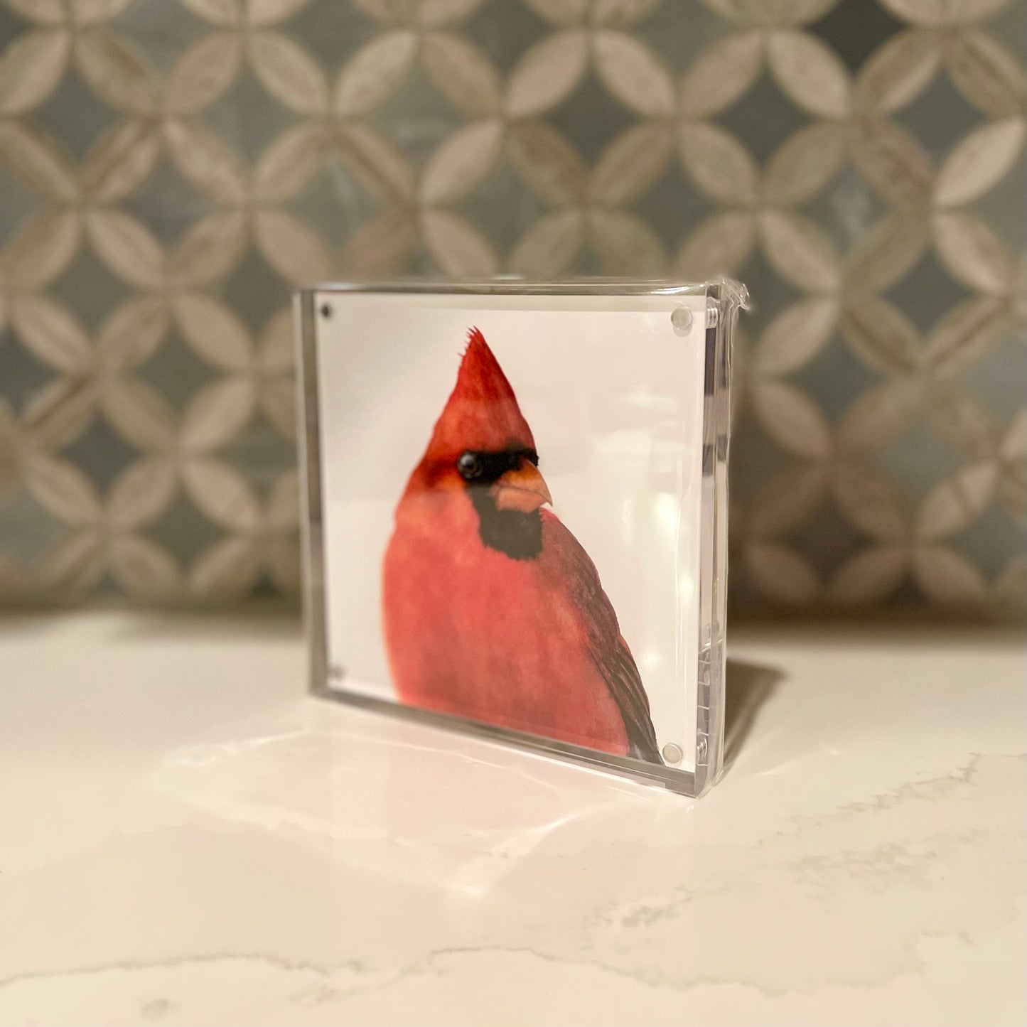 Charles the Cardinal Watercolor Art in Acrylic Block Frame – 5x5 Fine Art Print by Award-Winning Artist