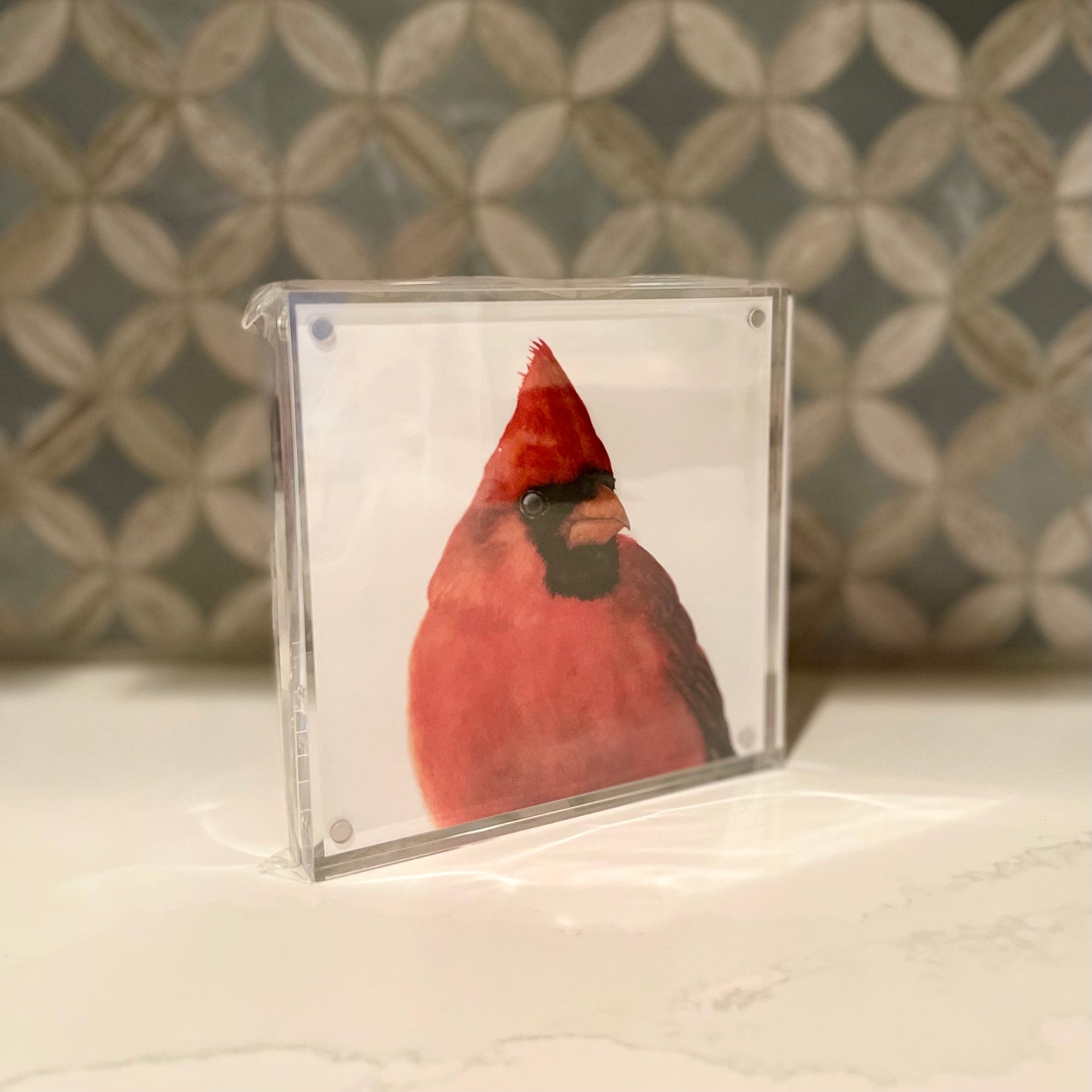 Charles the Cardinal Watercolor Art in Acrylic Block Frame – 5x5 Fine Art Print by Award-Winning Artist