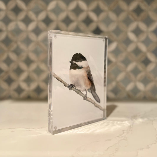 Carolina Chickadee Watercolor Art in Acrylic Block Frame – 5x7 Fine Art Print