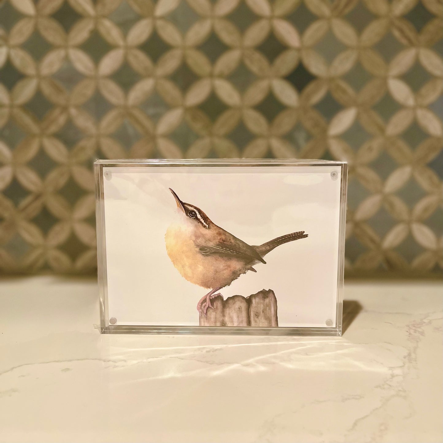 Carolina Wren Watercolor Art in Acrylic Block Frame – 5x7 Fine Art Print by Award-Winning Artist