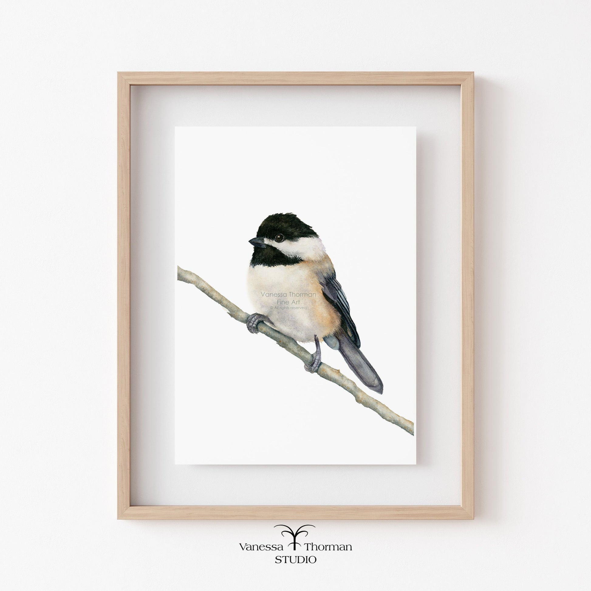 Chickadee-Watercolor-Art-Print-1