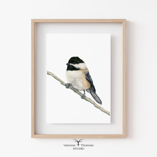Chickadee-Watercolor-Art-Print-1