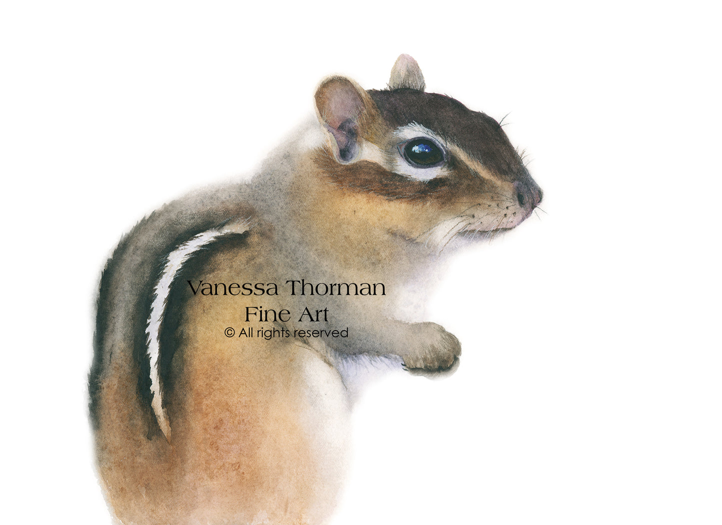 Pippin the Chipmunk – Adorable Woodland Watercolor Print for Nature Lovers