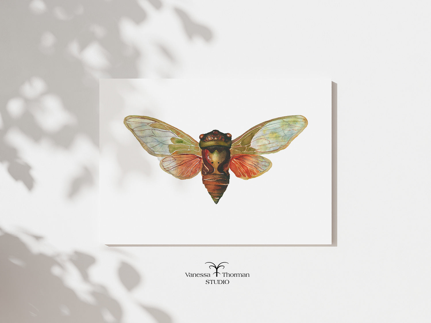 Cicada-watercolor-art-print-1