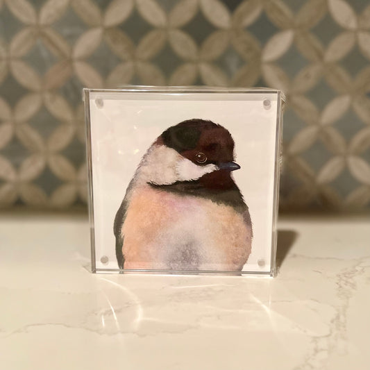 Chloe the Chickadee Watercolor Art in Acrylic Block Frame – 5x5 Fine Art Print