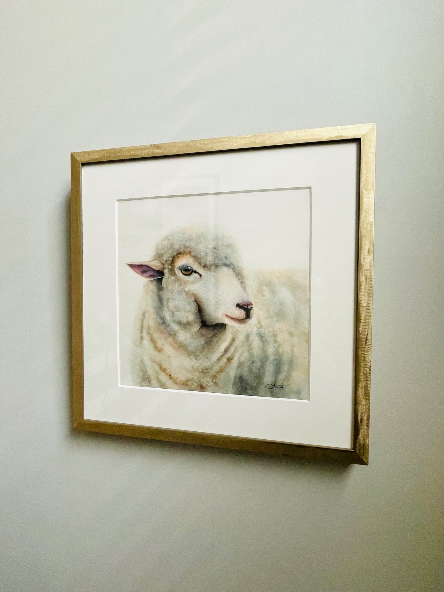 DUCHESS | Sheep Original Watercolor Painting