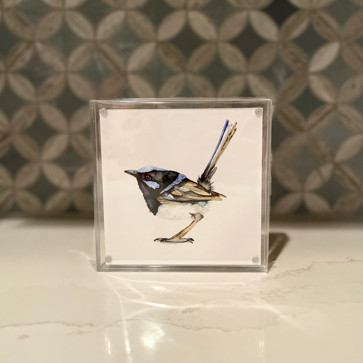 Fairywren Watercolor Art in Acrylic Block Frame – 5x5 Fine Art Print