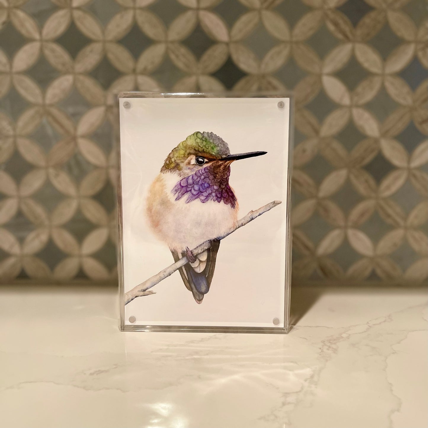 Volcano Hummingbird Watercolor Art in Acrylic Block Frame – 5x7 Fine Art Print