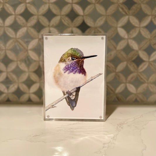 Volcano Hummingbird Watercolor Art in Acrylic Block Frame – 5x7 Fine Art Print