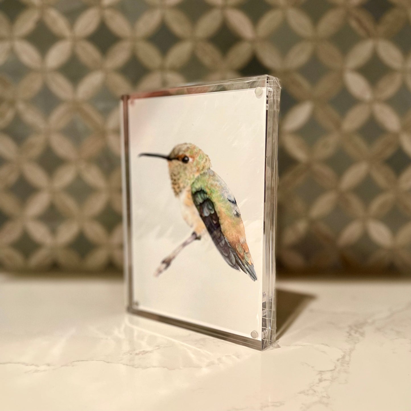 Rufous Hummingbird Watercolor Art in Acrylic Block Frame – 5x5 Fine Art Print