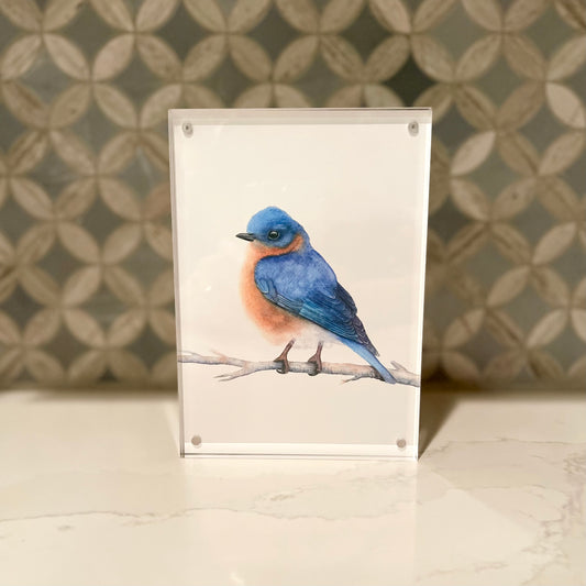 EasternBluebird-Watercolor-Art-in-Acrylic-Block-Frame-1