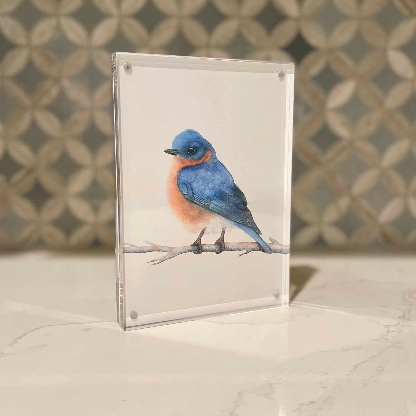 Eastern Bluebird Watercolor Art in Acrylic Block Frame – 5x7 Fine Art Print