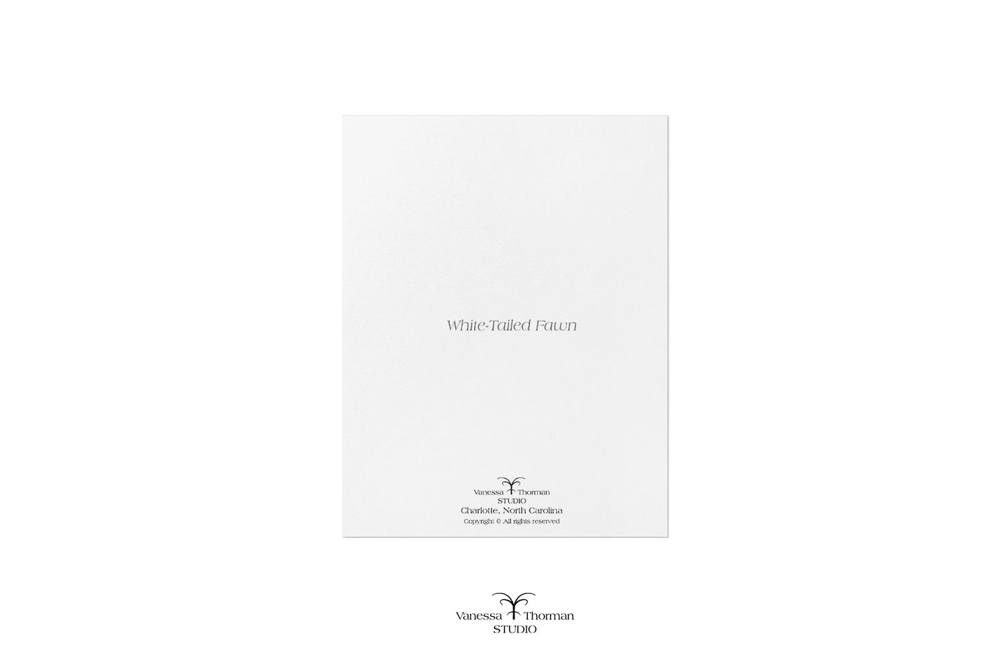 Fawn Notecards| White-Tailed Deer | Set of 8 Blank Greeting Cards