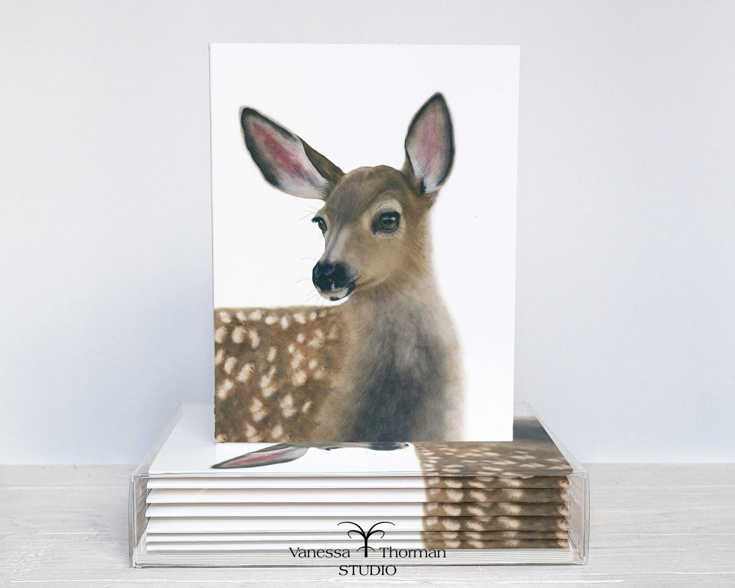 Fawn Notecards| White-Tailed Deer | Set of 8 Blank Greeting Cards