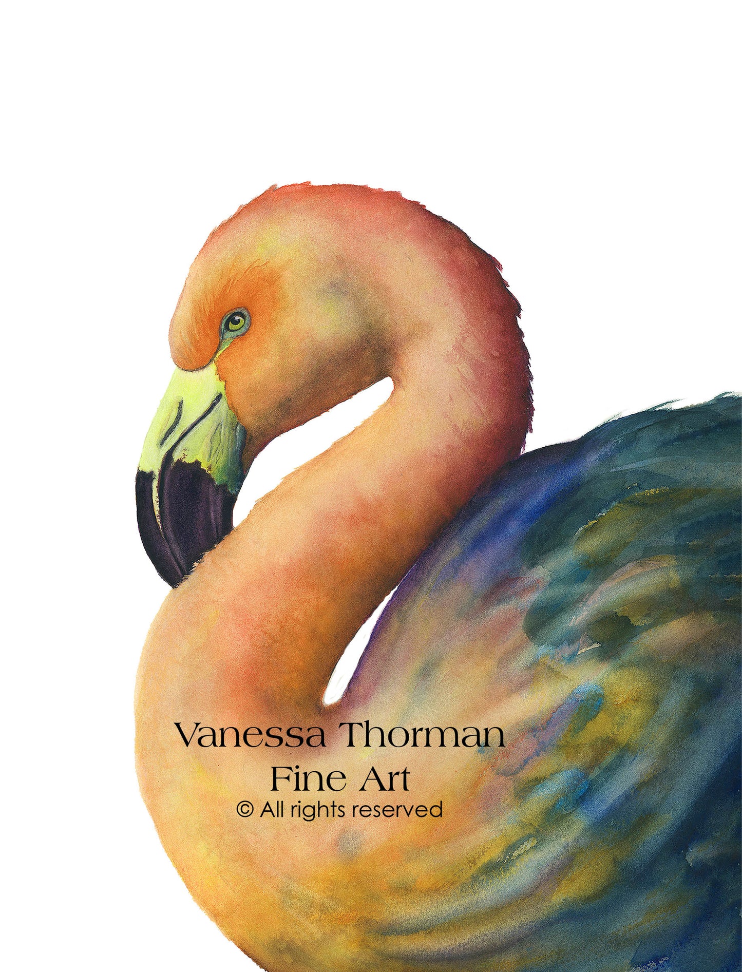 'Vanity Fair' Coral Flamingo Watercolor Art Print – Fine Art Giclée