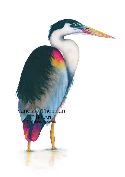 Sky Blue Heron Watercolor Art Print – Coastal Bird Fine Art Giclée