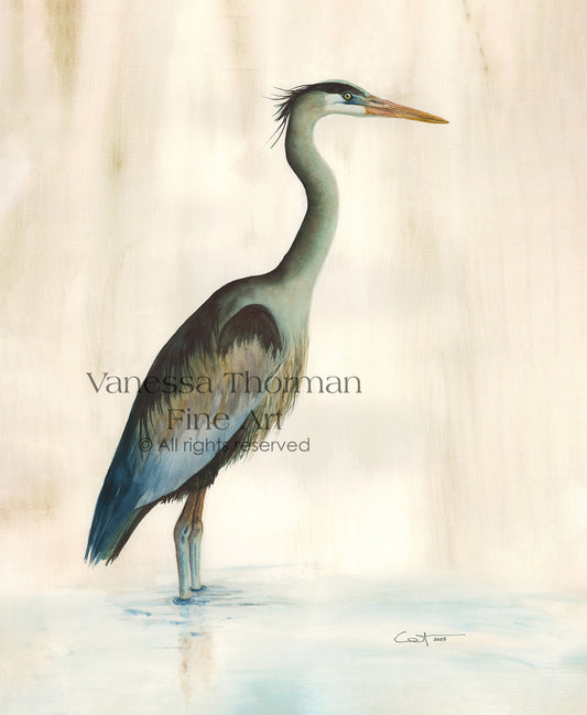 Marsh Heron (Green) Watercolor Art Print – Coastal Bird Art - Fine Art Giclée