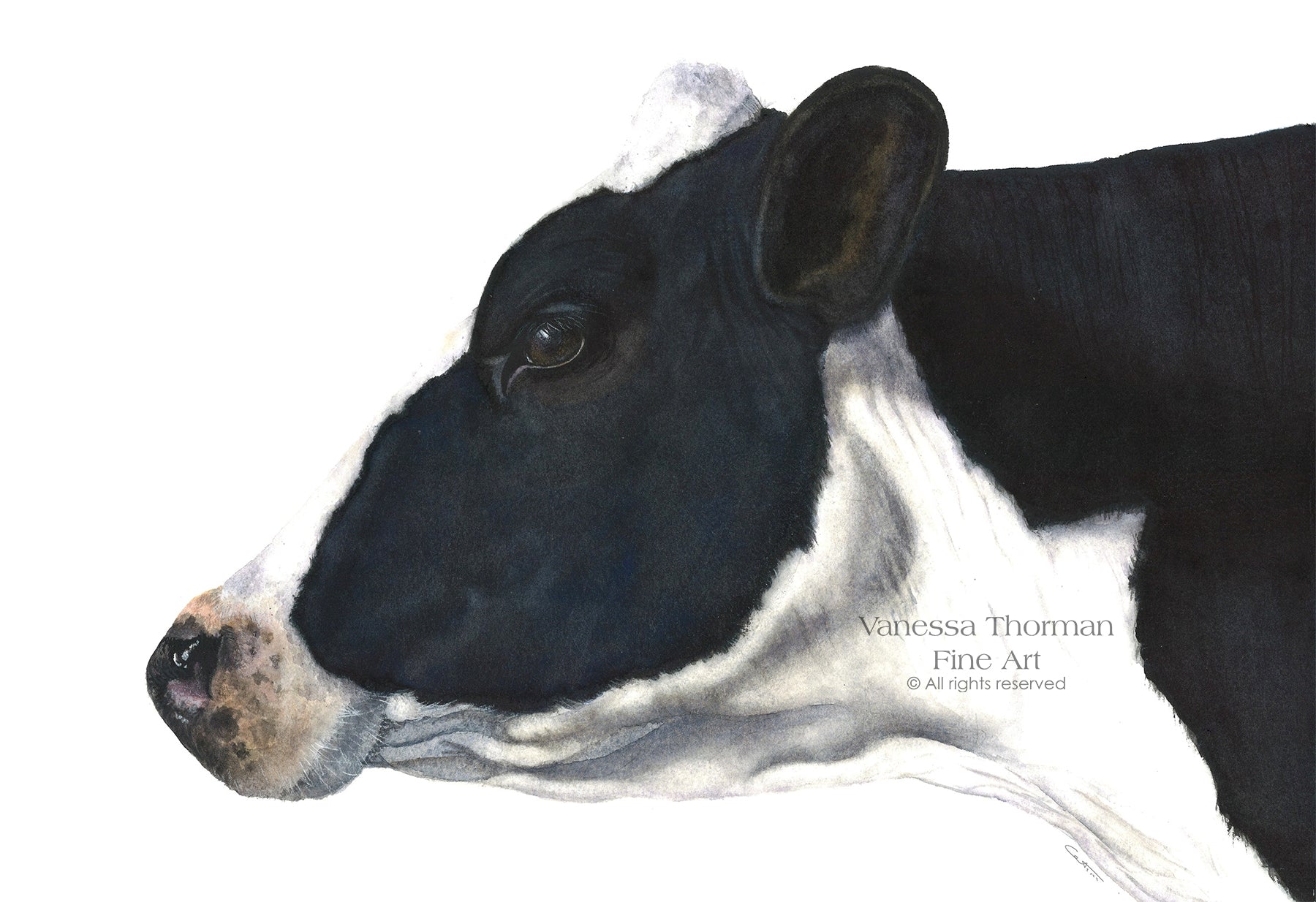 Holstein-cow-watercolor-art-print-1