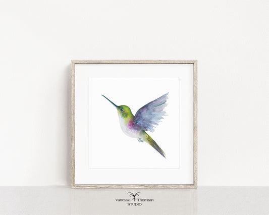 Hummingbird-Watercolor-Art-Print-1