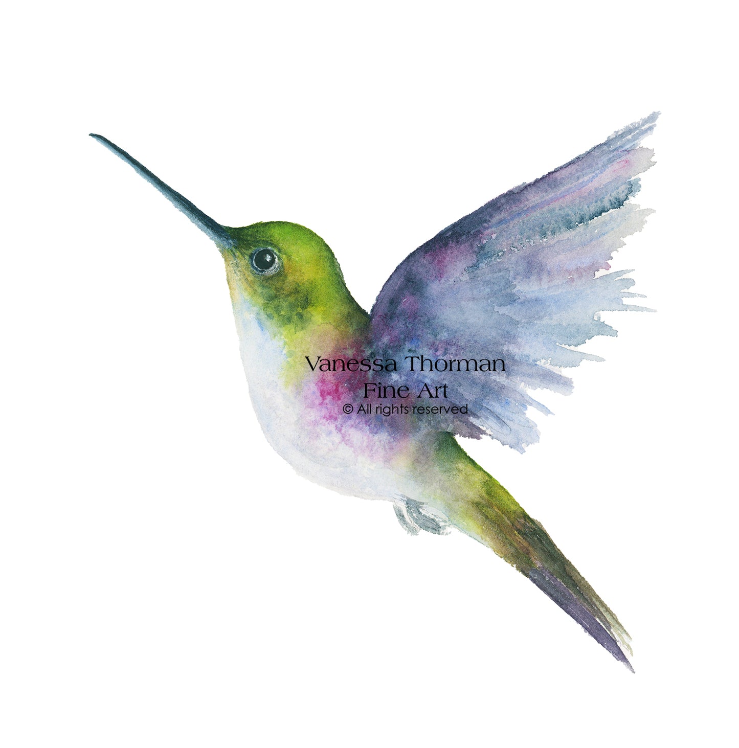 Hummingbird-Watercolor-Art-Print-1