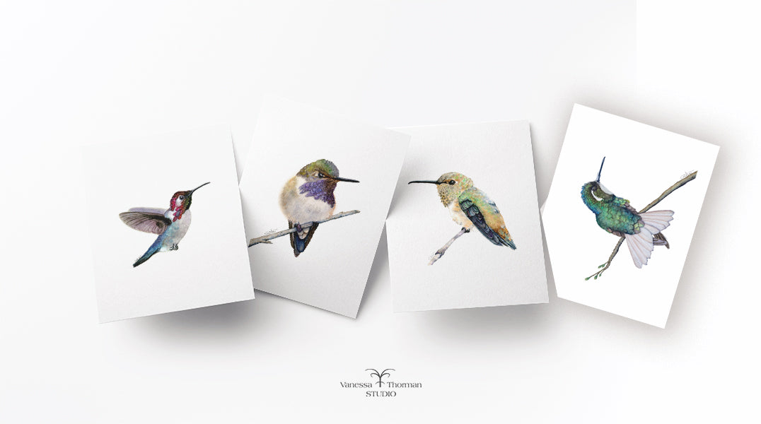 Hummingbirds Notecards Set – 8 Blank Greeting Cards with Envelopes – Watercolor Hummingbird Illustrations by Award-Winning Artist