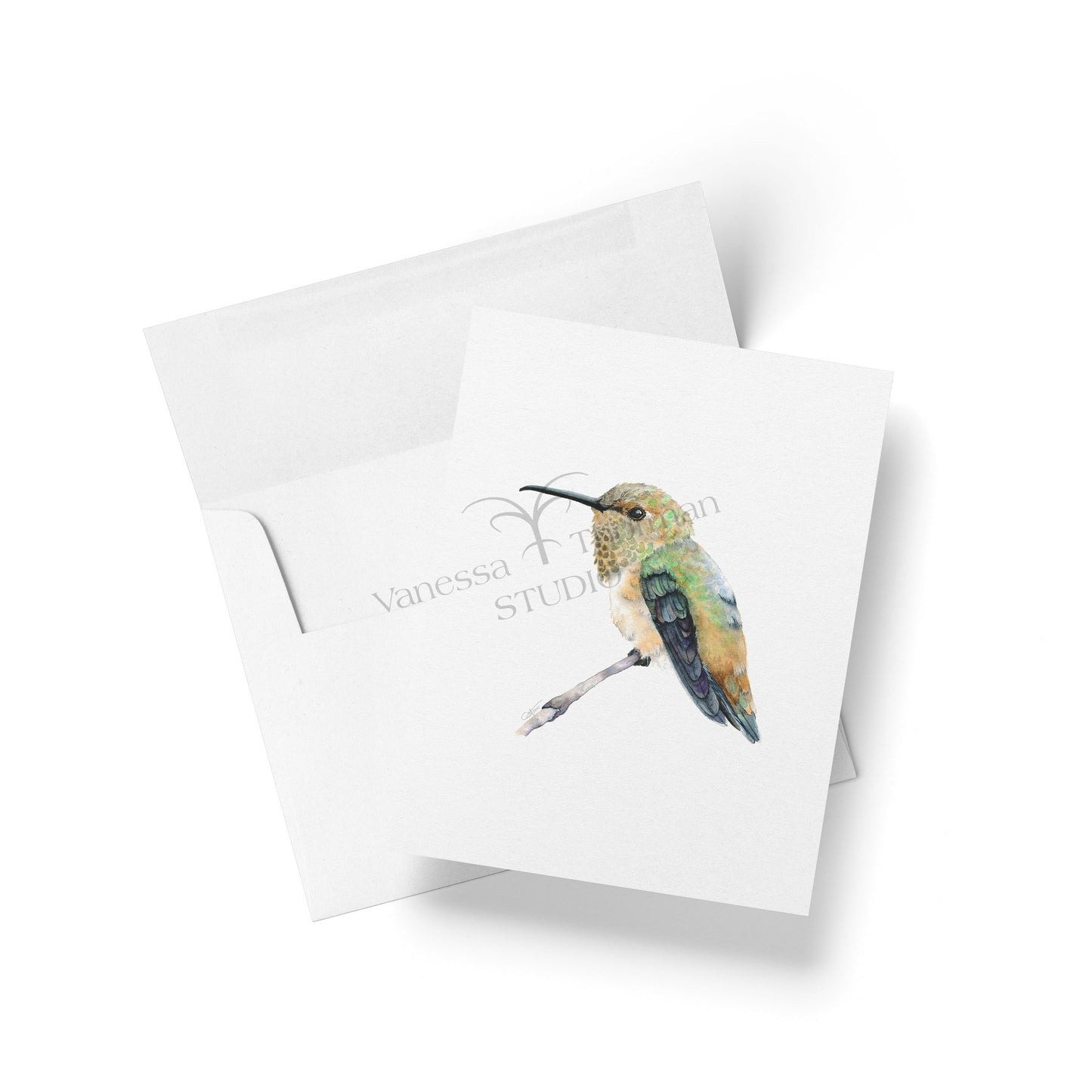 Hummingbirds Notecards Set – 8 Blank Greeting Cards with Envelopes – Watercolor Hummingbird Illustrations by Award-Winning Artist