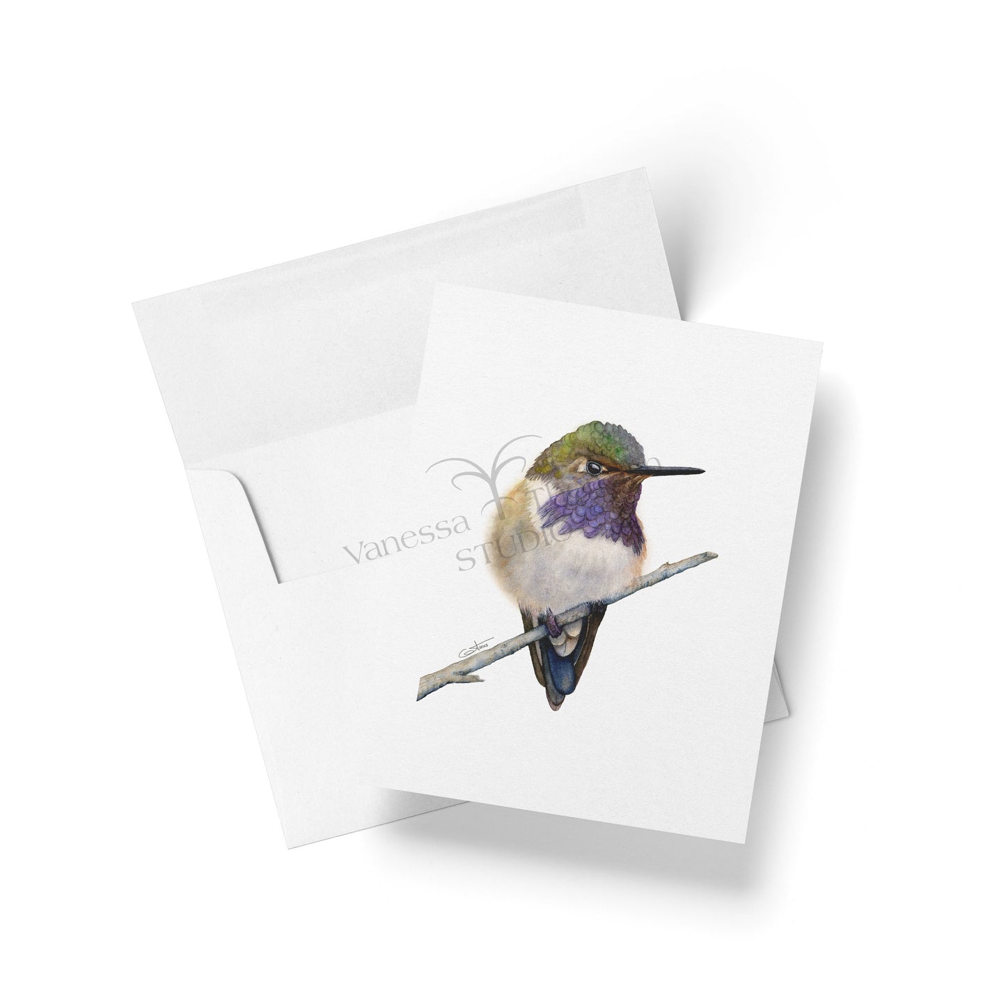 Hummingbirds Notecards Set – 8 Blank Greeting Cards with Envelopes – Watercolor Hummingbird Illustrations by Award-Winning Artist