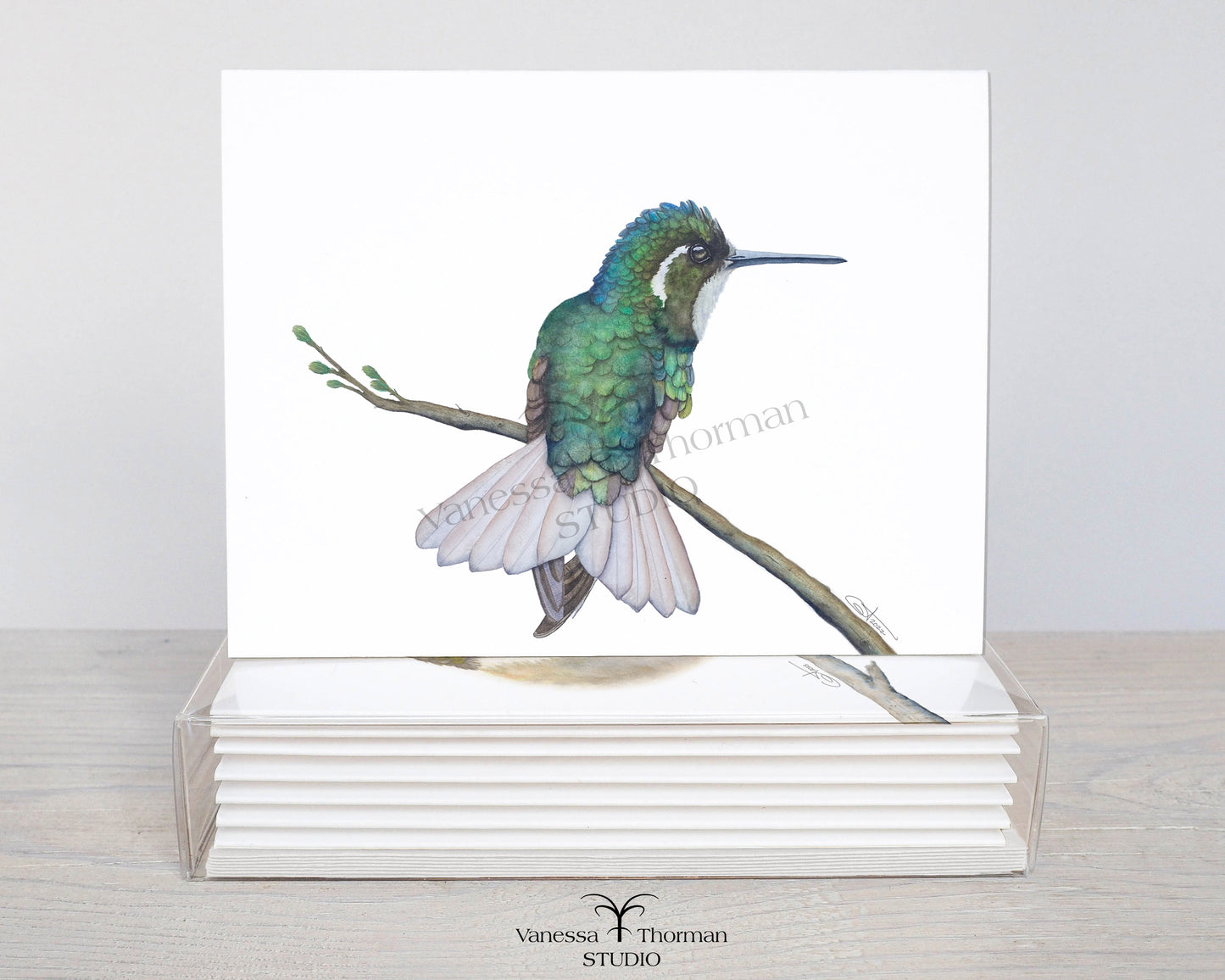 Hummingbirds Notecards Set – 8 Blank Greeting Cards with Envelopes – Watercolor Hummingbird Illustrations by Award-Winning Artist