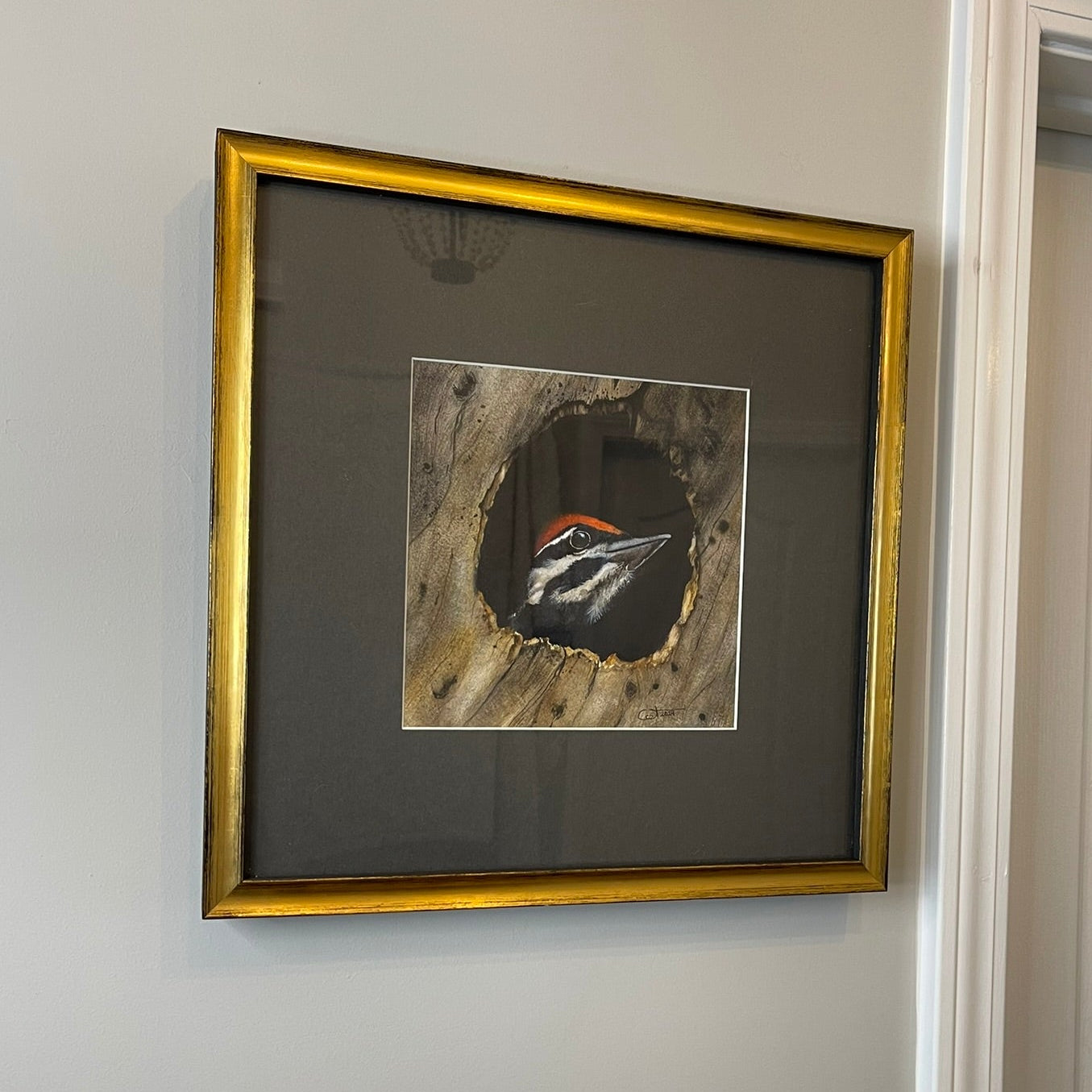 SCOUT | Pileated Woodpecker Watercolor | Original Bird Painting by Vanessa Thorman