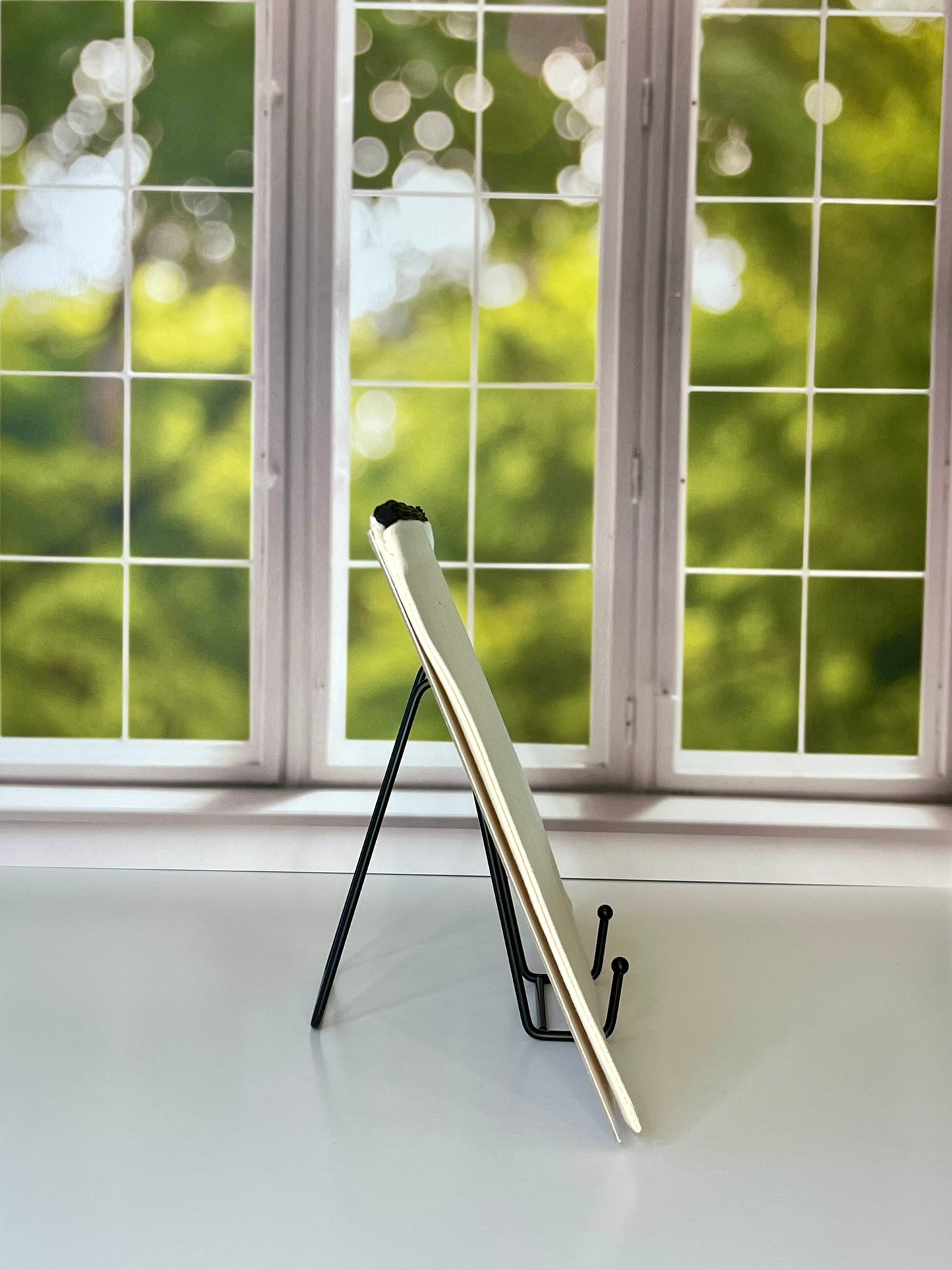 Carolina Wren Canvas Travel Pouch - Zippered Bag with Wren Art | Small or Large Size