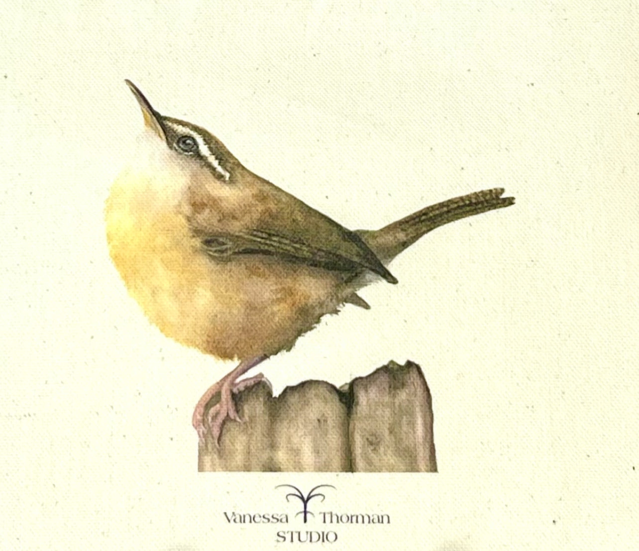 Carolina Wren Canvas Zipper Pouch – Travel Bag Inspired by Watercolor Art by Vanessa Thorman